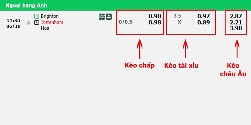 Bảng kèo trận đấu Brighton vs Tottenham tại vòng 7 Ngoại hạng Anh 2024/2025